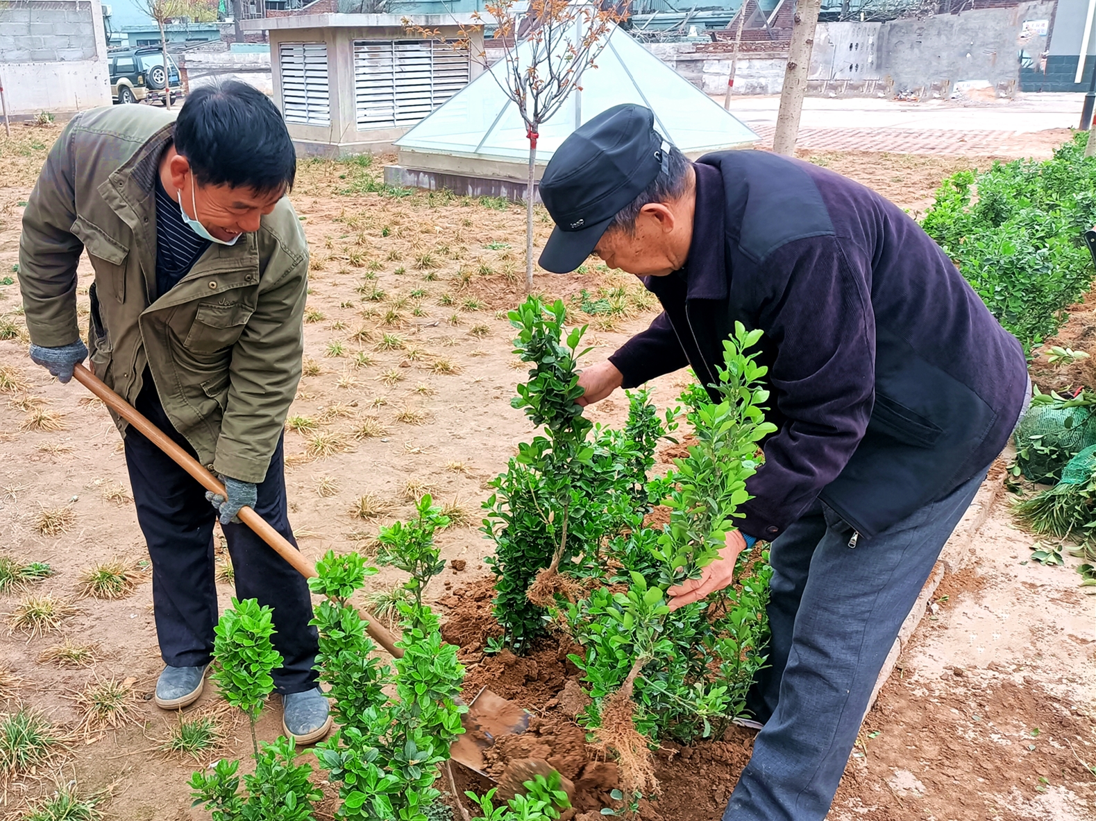 “綠色呼吁”——裕康物業(yè)植樹活動